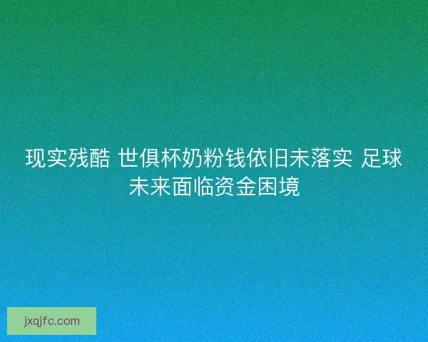 现实残酷 世俱杯奶粉钱依旧未落实 足球未来面临资金困境